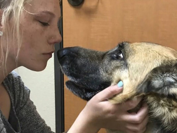dog dying wish comes true final day