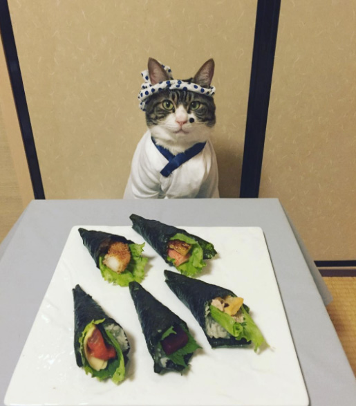 cat dresses up with mom for dinner every night Japan Maro