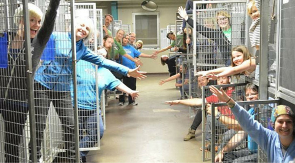 Spaying/Neutering Is Up, Animal Populations In Shelters Are Down Across