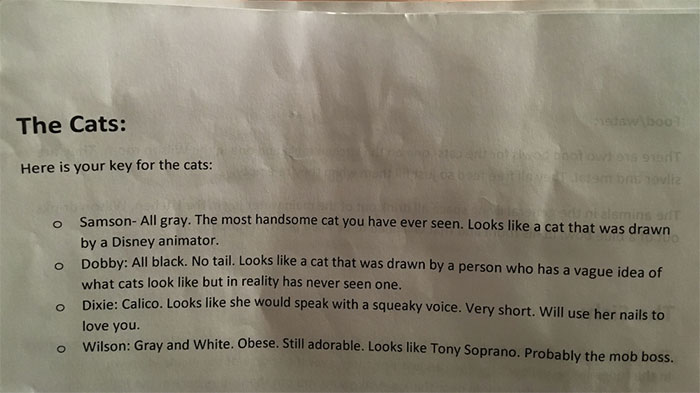 funny cat descriptions left for cat sitter