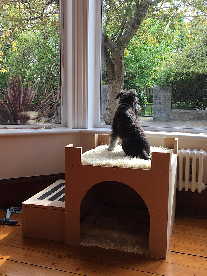 Owner Builds His Dog A CastleBed So He Can Watch The World Go By
