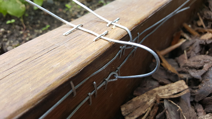 slug electric fence DIY