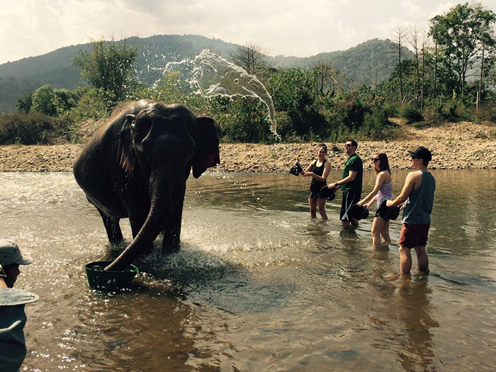 The water flying onto this elephant looks like an elephant too