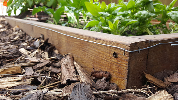 slug electric fence DIY