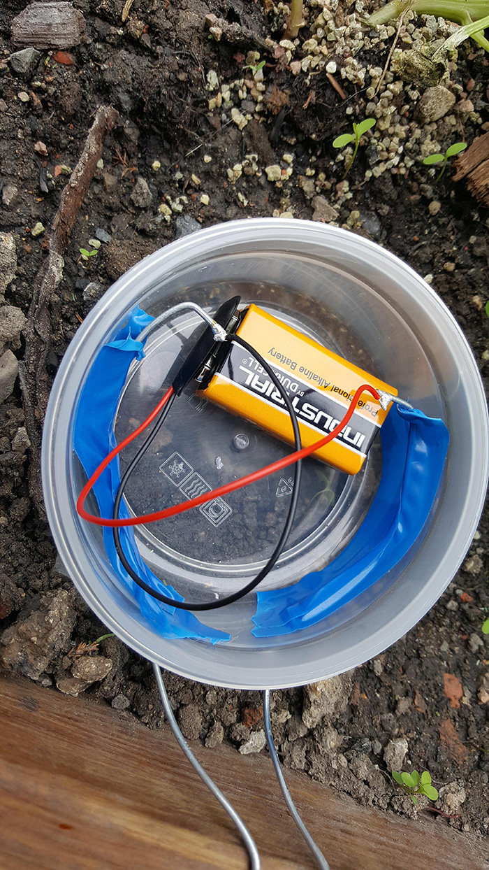 slug electric fence DIY