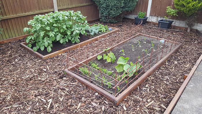 slug electric fence DIY