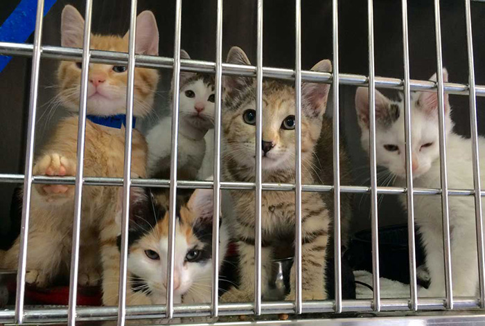 man makes huge donation to animal shelter never visited