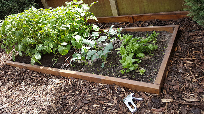 slug electric fence DIY