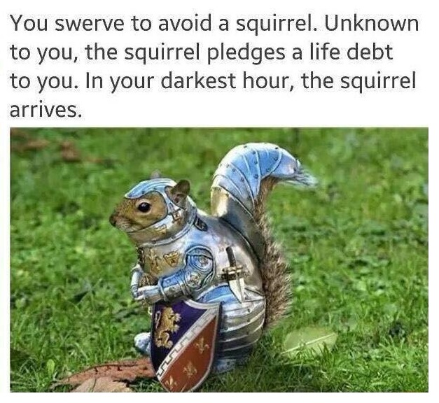 squirrel knight