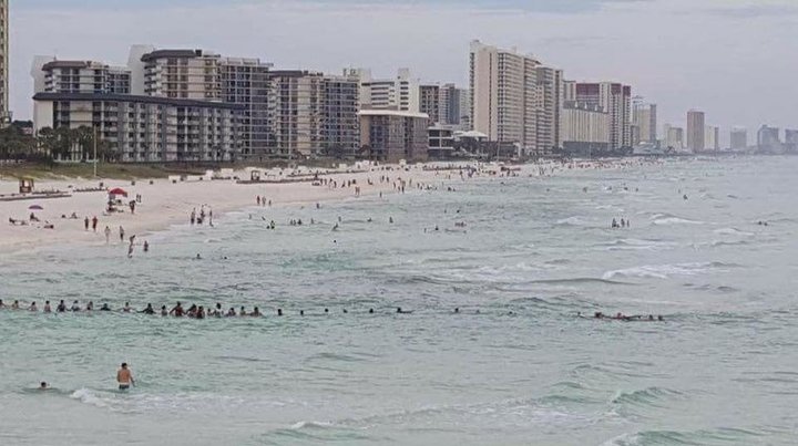 human chain rescue beach panama city