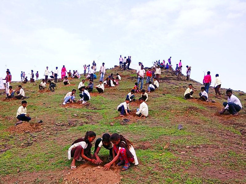 India breaks record planting trees 66 million