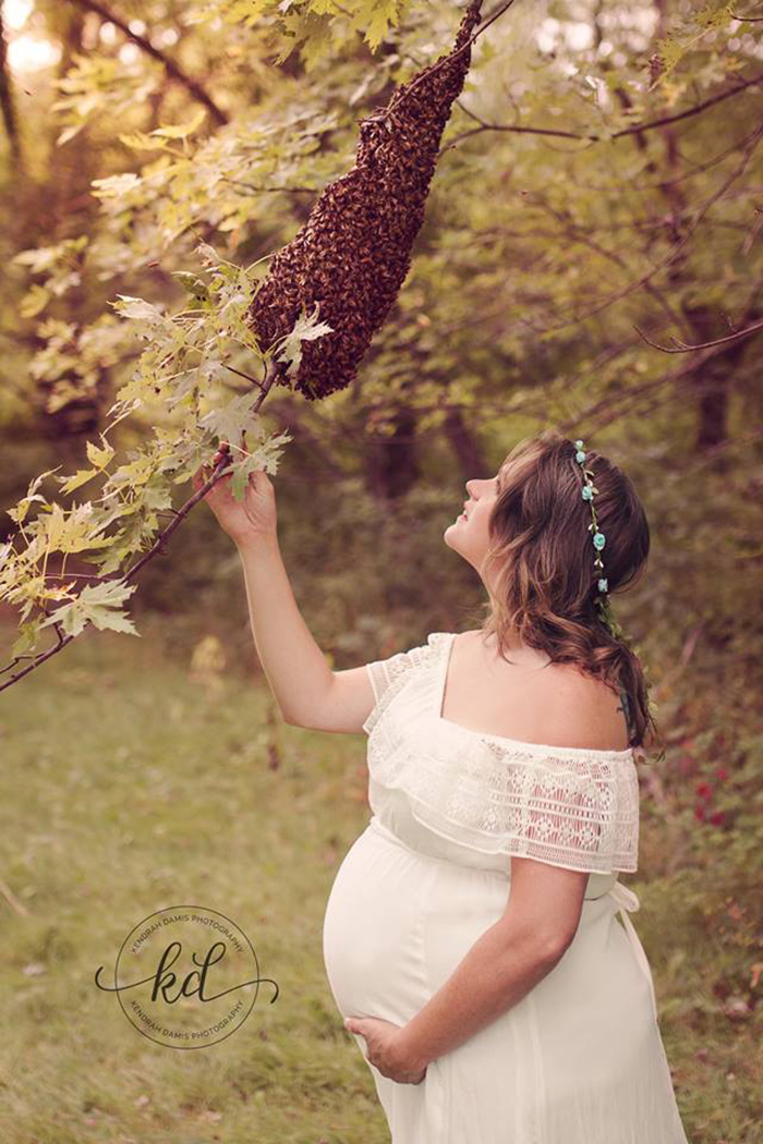 bee maternity photoshoot