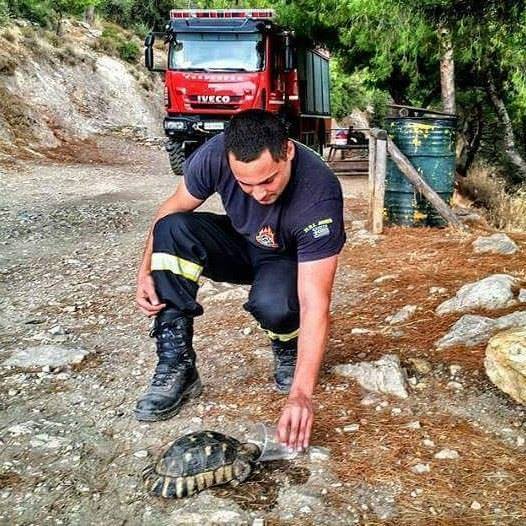 firefighter tends to animals during break