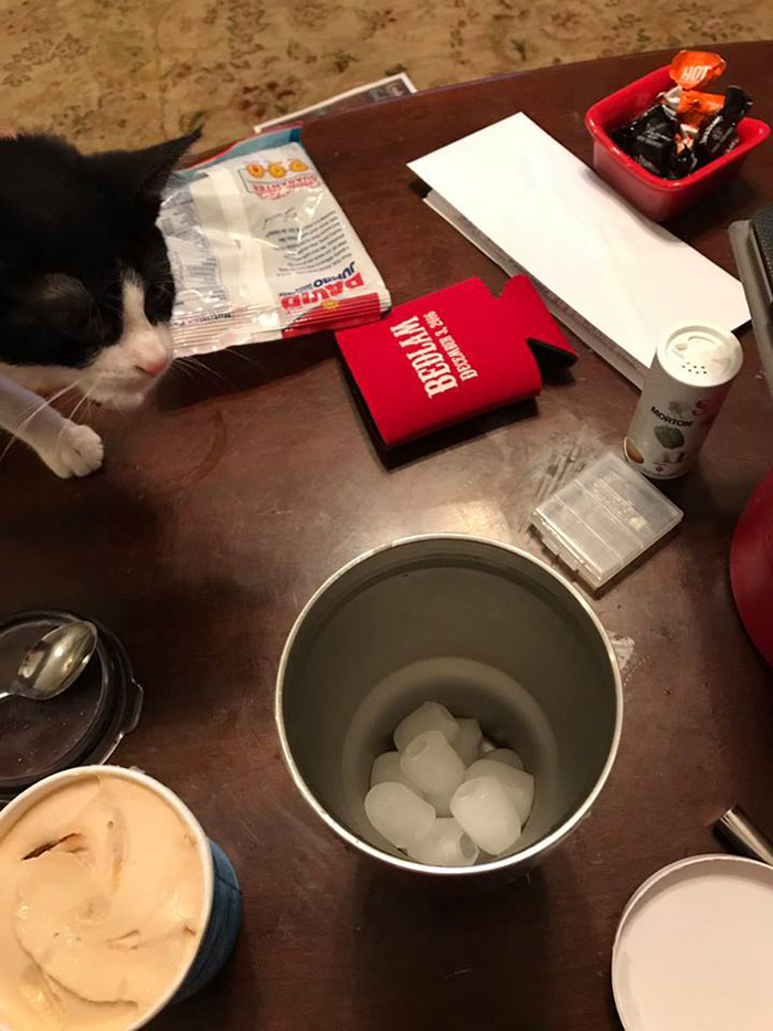 This Guy Discovered That A Pint Of Ice Cream Fits Perfectly In A Yeti Cup