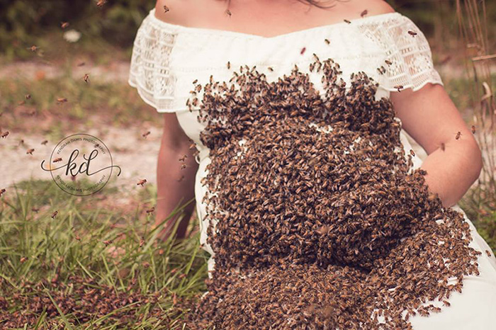 bee maternity photoshoot