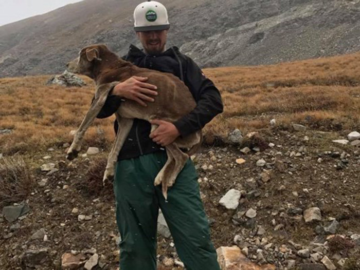 hikers rescue lost dog mountains