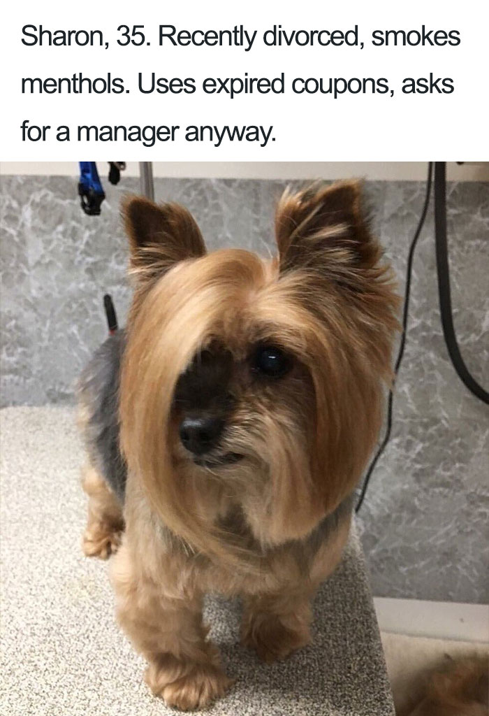 15 Dog Bios That Will Definitely Remind You Of Someone You Know