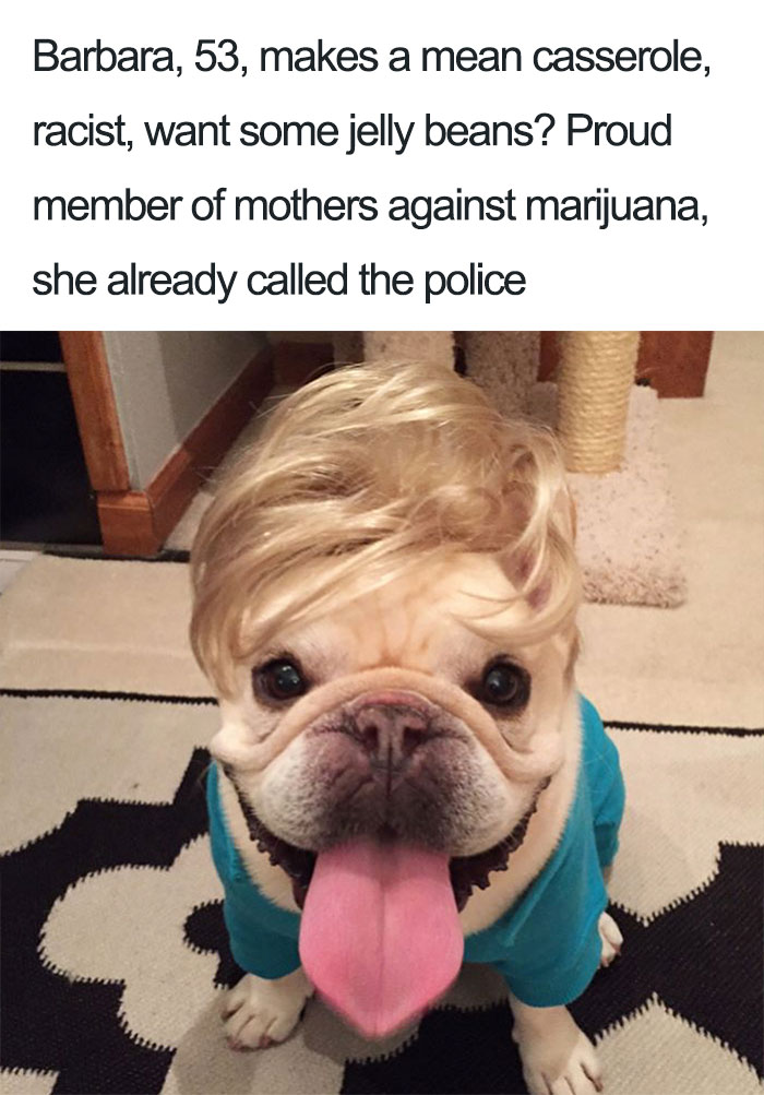 15 Dog Bios That Will Definitely Remind You Of Someone You Know