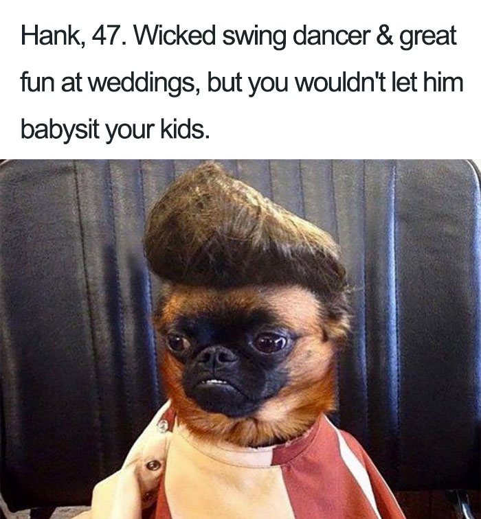 15 Dog Bios That Will Definitely Remind You Of Someone You Know