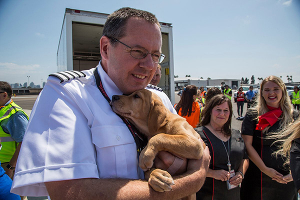 Southwest Airlines Flies Cabin Full of Shelter Animals out of Houston