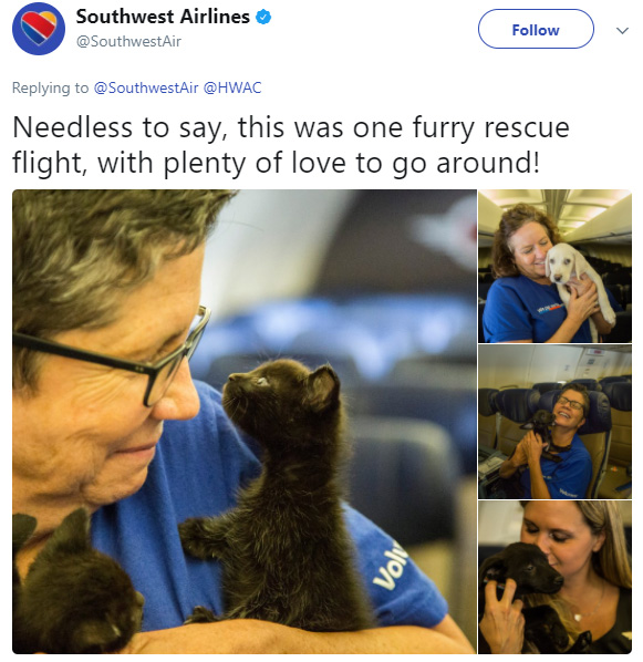 Southwest Airlines Flies Cabin Full of Shelter Animals out of Houston