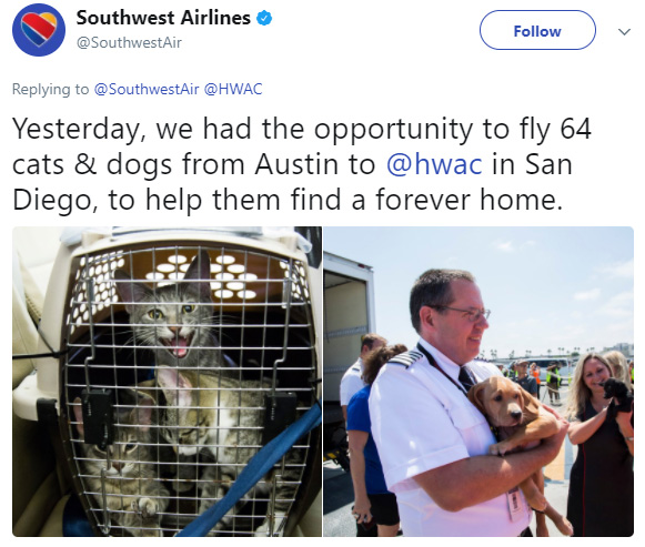 Southwest Airlines Flies Cabin Full of Shelter Animals out of Houston