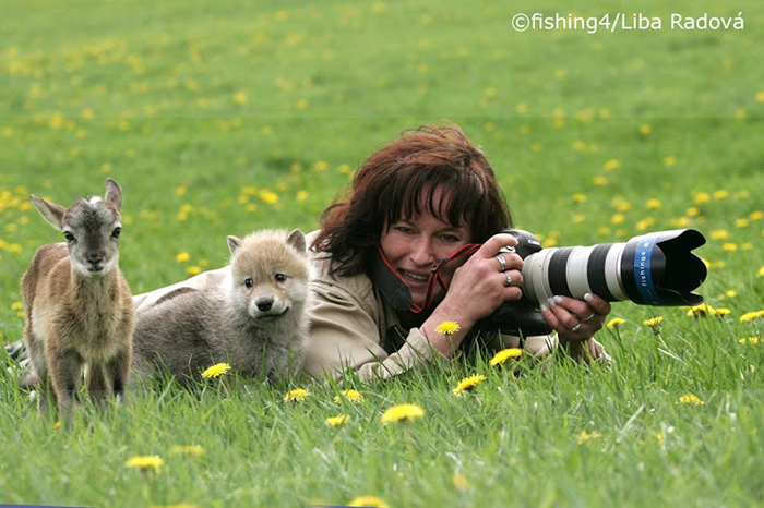 photographer is approached by a baby deer and baby wolf while out in