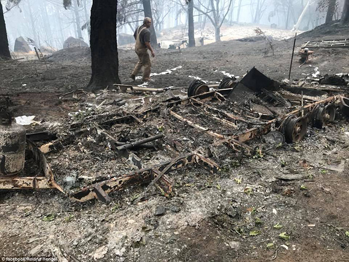 goat herding dog alive after fires