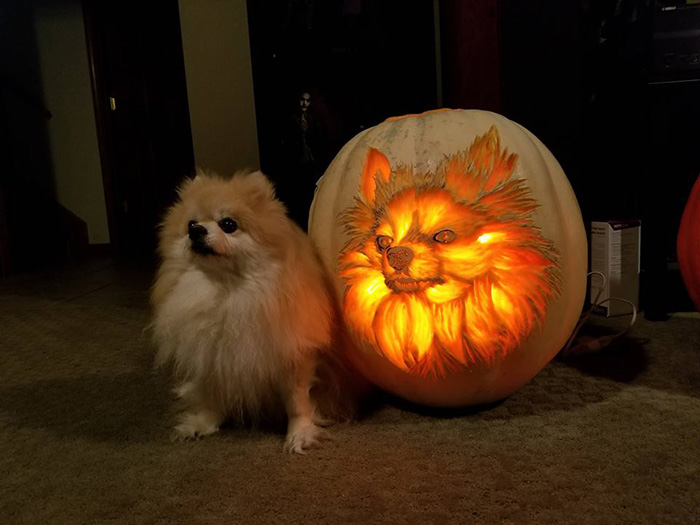9izti-dog-o-lantern.jpg