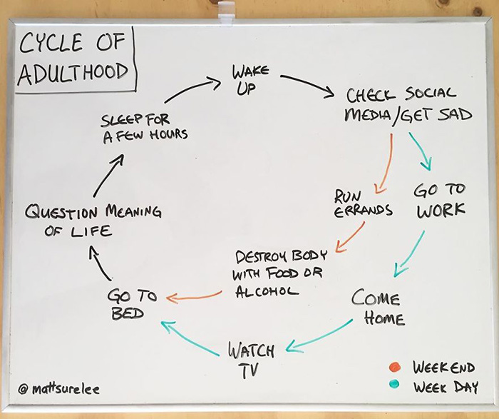 funny honest charts about life