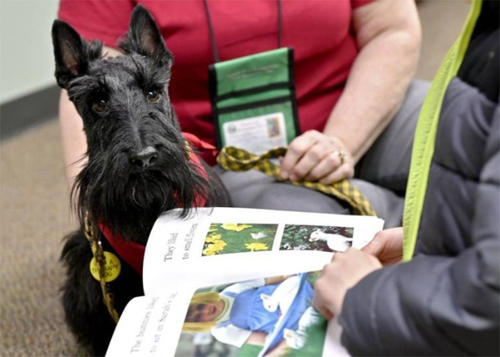 therapy dogs help kids read