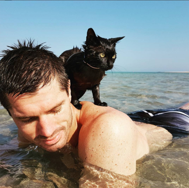 cat loves swimming in ocean