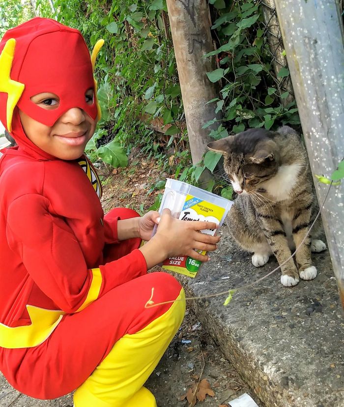 boy superhero costumes stray cats