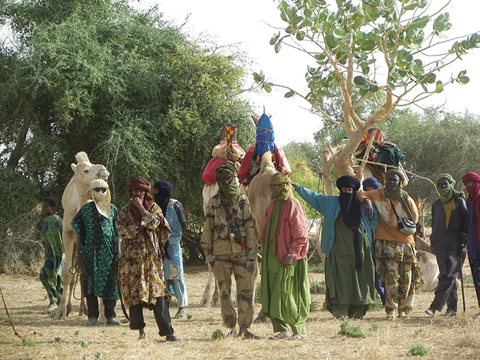 Mali elephant brigade