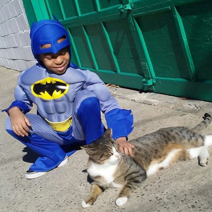 boy superhero costumes stray cats