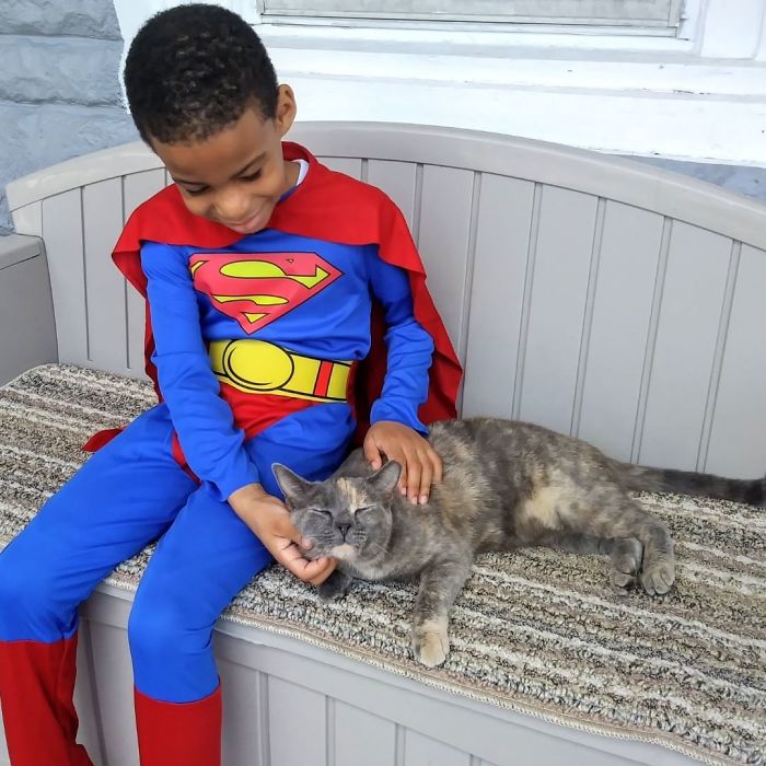 boy superhero costumes stray cats