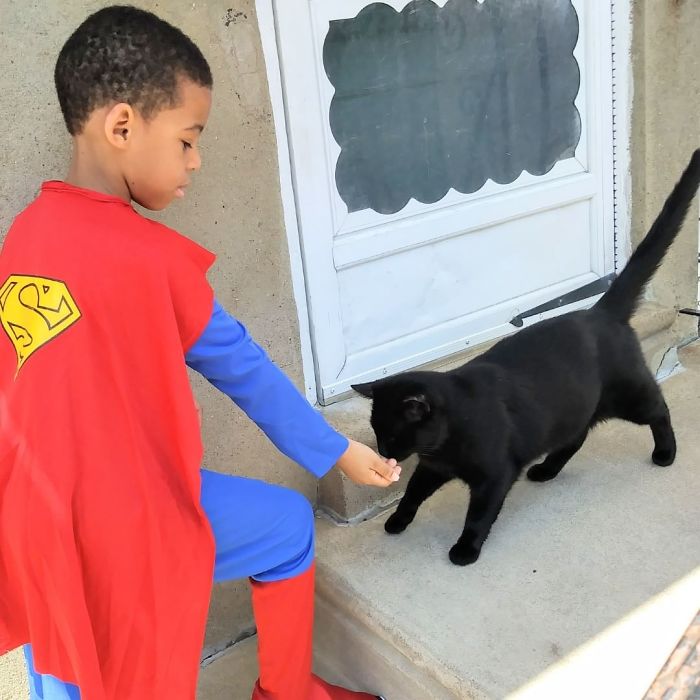 boy superhero costumes stray cats