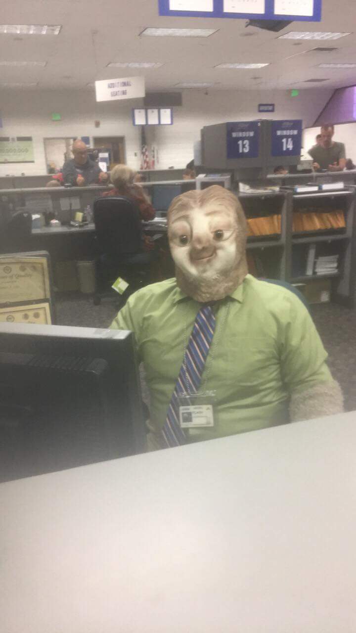 This DMV Employee Dressed Up As A Sloth On Halloween This DMV Employee Dressed Up As A Sloth On Halloween
