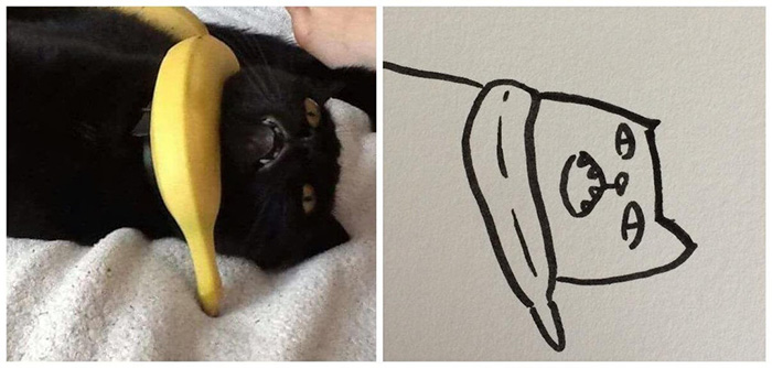 minimal cat art