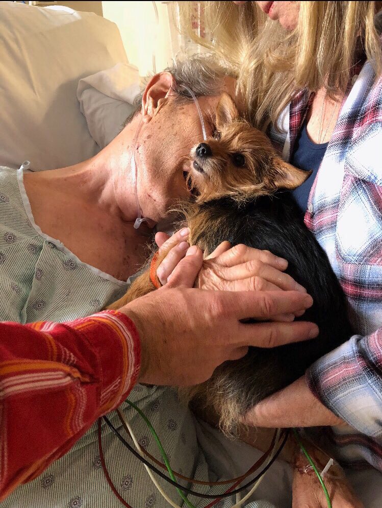 nurses sneak dog into hospital to say goodbye