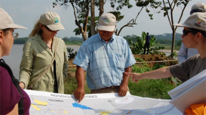 largest amazon reforestation project