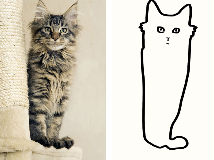 minimal cat art