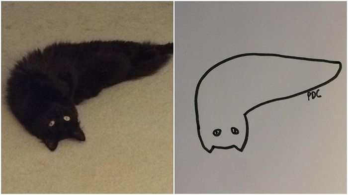 minimal cat art