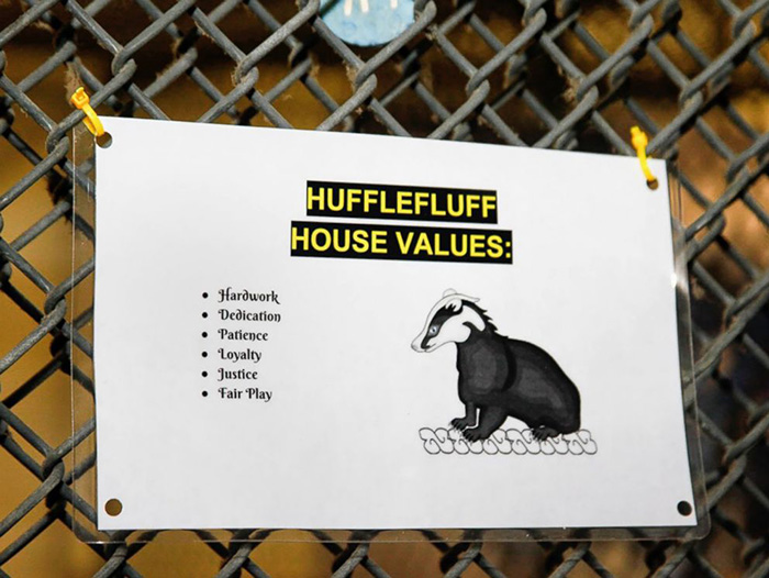 harry potter themed animal shelter