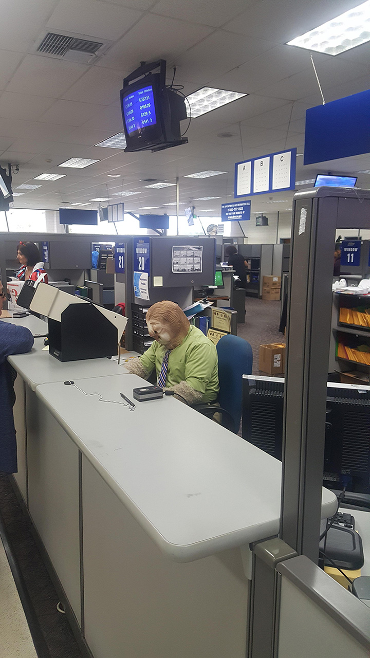 DMV employee dresses as sloth on Halloween