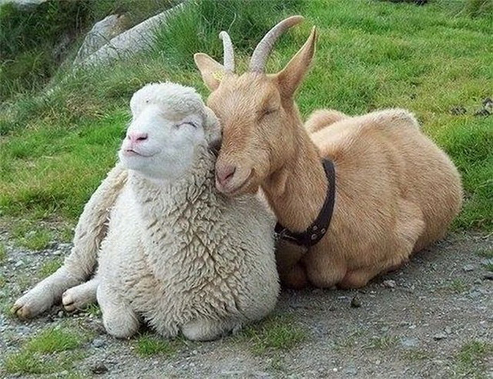 ozrnx-best-friends.jpg