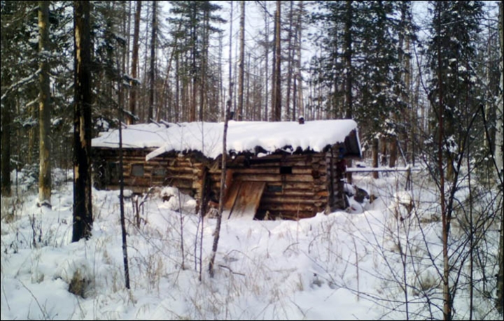 A Bear Armed With Two Guns Is On The Loose In Russia Sruv7-bear-armed-with-2-guns-on-the-loose-in-Russia-1