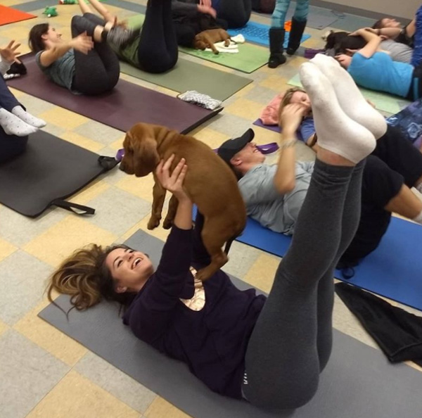 puppy yoga