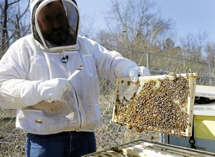 community raises money for bees