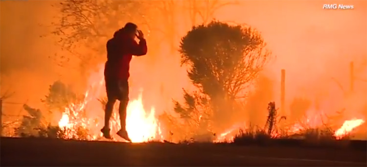 man rescues wild rabbit wildfire fire california